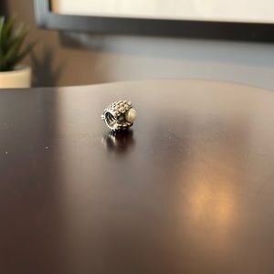 Pandora charm